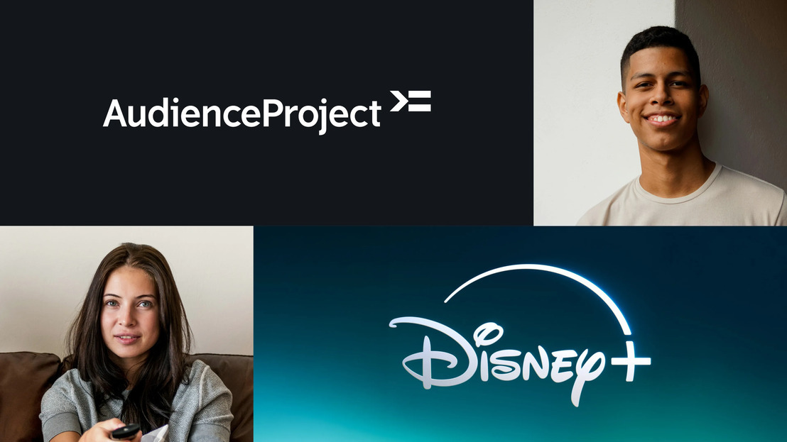 2. Audience project.jpg